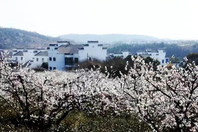 机智问答网页-解疑答惑,已离婚我可以要求要求赔偿吗专家在线为您解答问题
